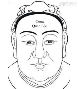 Cung Quan Lộc trong 12 cung tướng mặt