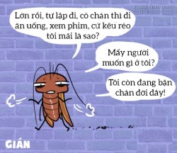 Cười chảy nước mắt với những nỗi oan Thị Kính của động vật