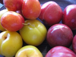 Những mối nguy hại cần biết khi ăn một số loại trái cây mùa hè