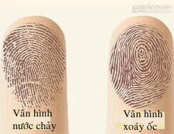 Xem bói bí mật ẩn giấu sau mỗi đường vân tay