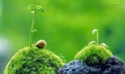Tử vi thứ Sáu 17/7