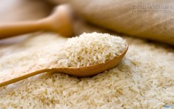5 Bước giúp bảo quản gạo không bị mối mọt tấn công