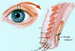 Những tác dụng của ghèn mắt ít ai để ý đến