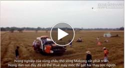 Hương sắc miệt vườn sông nước Mekong