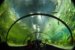 Điểm danh những nơi tránh nóng hot nhất Hà Nội