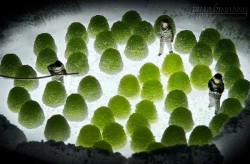 Đẹp không tưởng thế giới ẩm thực khổng lồ siêu thực