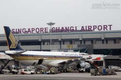Bay sang Singapore, nhiều người Việt bị từ chối nhập cảnh