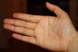 Đoán khả năng tiêu tiền qua bàn tay