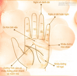 Xem tướng bàn tay vượng phát nhờ hôn nhân