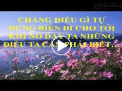 Những câu nói thúc đẩy động lực sống trong bạn