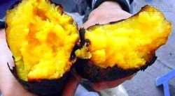 Khi đói có chết cũng không được ăn những thứ này