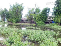 Khung cảnh bình yên của ngôi làng nằm bên hồ Lắk