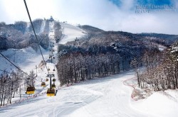 Mùa đông này đi trượt tuyết ở Pyeongchang