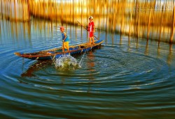 Những trải nghiệm thú vị trên Phá Tam Giang