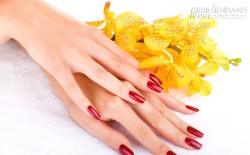 Xem tướng cánh tay, lòng bàn tay, ngón tay