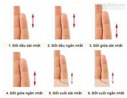 Tiết lộ tính cách qua độ dài đốt ngón tay út