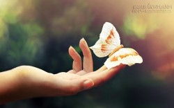 Xem bàn tay đoán được tính cách và nghề nghiệp hợp với bạn