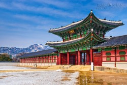 Những điểm ăn chơi giá rẻ ở Seoul