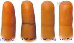 Đoán tính cách con người qua hình dạng ngón tay
