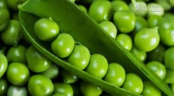 Bài thuốc từ các món ăn có đậu Hà Lan