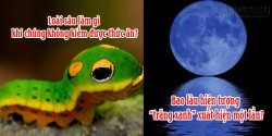 Những kiến thức khoa học vui khiến bạn phải tròn mắt ngạc nhiên