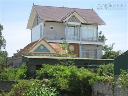 Tại sao nhà ở không nên phạm hạc giữa bầy gà?