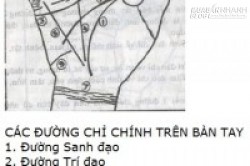 Phân tích các đường chỉ tay để biết vận vận và sự nghiệp của bạn