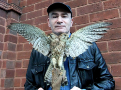 Há hốc mồm trước những động vật 1 thân - 2 đầu trên thế giới