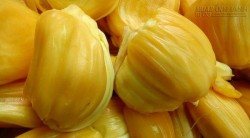 Cách chọn mít ngon, dai giòn, ít xơ nhiều múi