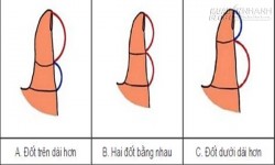 Ngón cái tự thú về độ kiên nhẫn với tình yêu