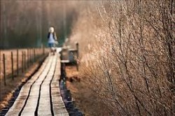 Đường Cũ – Ta Vẫn Đi?