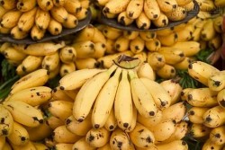 Mẹo chọn chuối không ngâm hóa chất