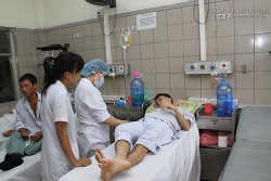 Phải làm thế nào khi không may bị rắn độc cắn ?