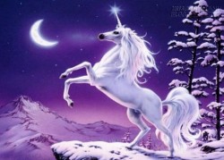 Top 5 con giáp vượng vận quý nhân nửa cuối năm 2015