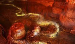 Phát hiện rồng đá trong hang Rồng ở Trung Quốc