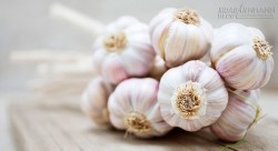 Mẹo trị ho lâu ngày, tiêu chảy, đầy hơi, khan tiếng chỉ 15 phút
