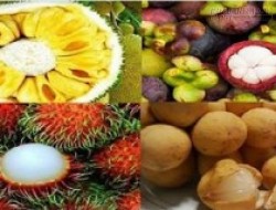 Mẹo hay nhận biết ngay hoa quả chín cây hay chín thuốc