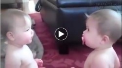 Hai đứa mà chỉ có một cái ti
