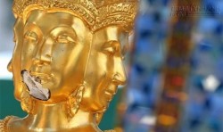 Vụ nổ Bangkok: Tượng Phật vàng bốn mặt chỉ bị sứt cằm nhẹ