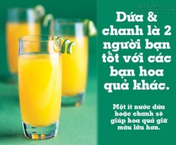 Mẹo hay cần biết về một số loại rau củ quả thường ngày