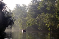 Thiên nhiên hoang dã dọc bờ sông Kinabatangan