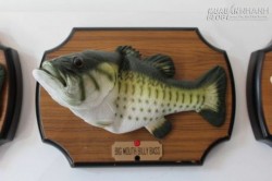 Cá giữ nhà khiến kẻ trôm khiếp vía