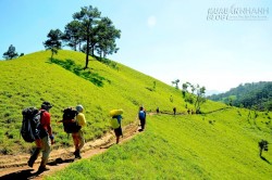 Băng rừng trên cung đường trek đẹp nhất Việt Nam