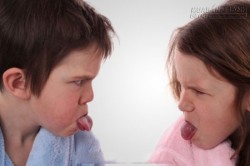 Những con giáp thường xung khắc với nhau