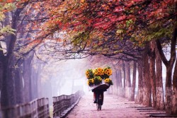 Vận thế của 12 con giáp trong mùa thu 2015