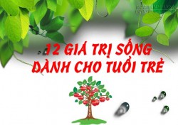 Suy ngẫm về 12 giá trị sống