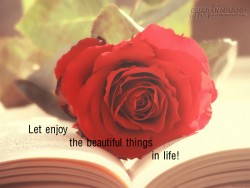 Bài học từ chim ó, dơi và ong nghệ