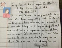 Những bản kiểm điểm không thể đỡ nổi của tuổi học trò