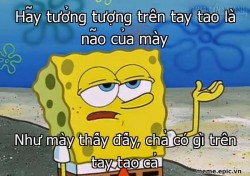 Ai mới là kẻ ngu?