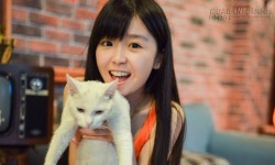 Hình mẫu con gái trong mơ của 12 chòm sao nam